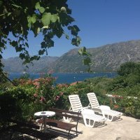 Rent one-room apartment a four №1 in Kotor District Kindness 2