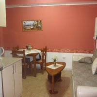 Apartment for rent № 208, 130 m from the sea in Rafailovići (55 m2)